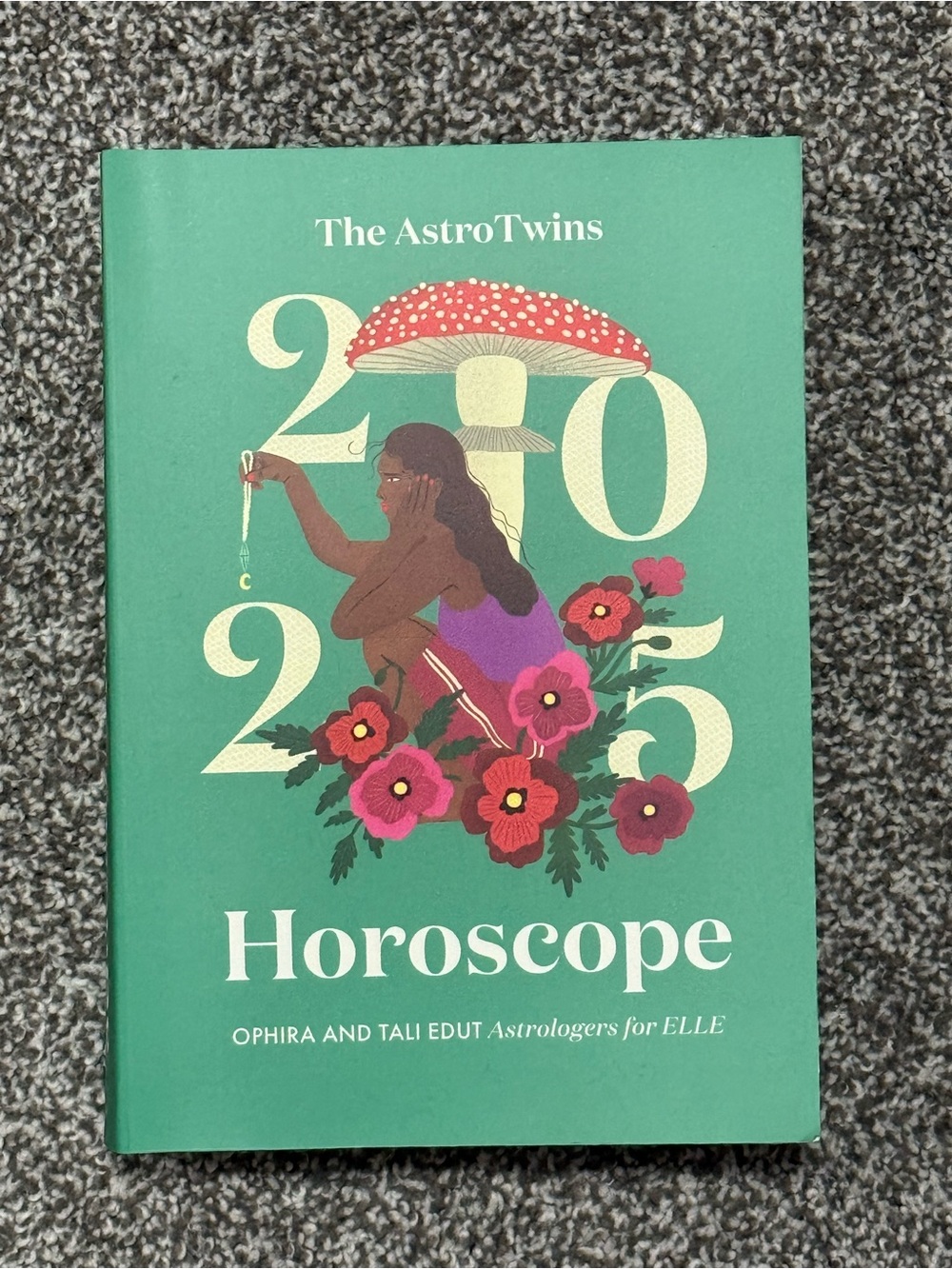 The AstroTwins 2025 Horoscope Book - Complete 12 Sign Astrological Guide